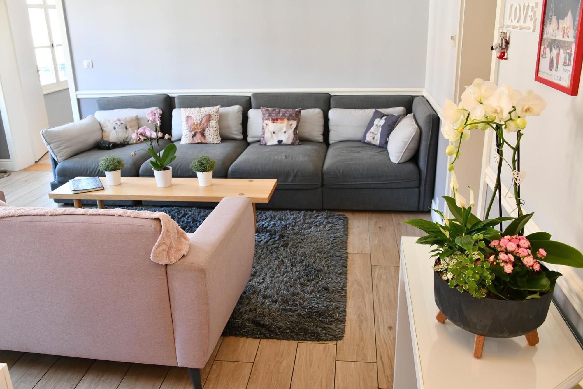 קולמר Appartement The Fairytale - Petite Venise מראה חיצוני תמונה